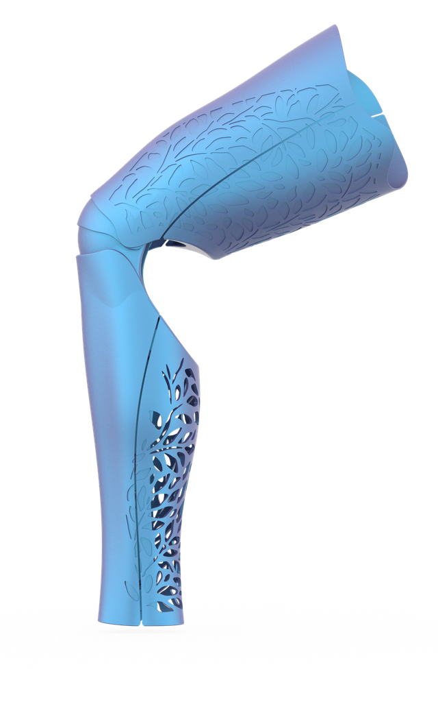 Brizz (OneFit) - Iris Blue-Purple