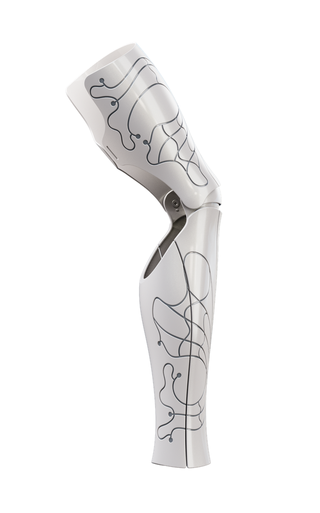 Aura Flex (OneFit) -Silver/Titanium