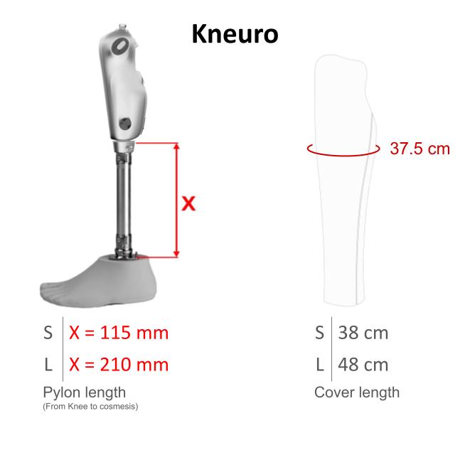 QuickFit Kneuro