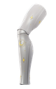 Perseus (OneFit)