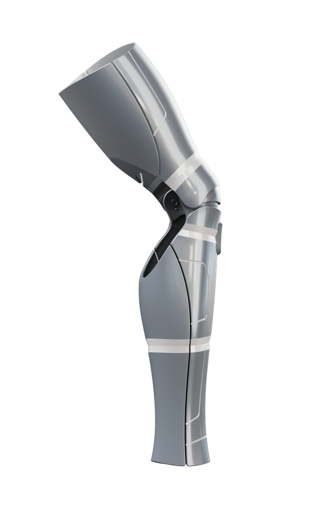 Titanium / Silver