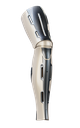 Quantum (OneFit)